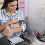 Ethical Devon Rex Breeders in the Southeast: A Family Guide to Royal Velvets