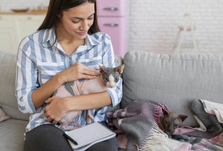 Ethical Devon Rex Breeders in the Southeast: A Family Guide to Royal Velvets